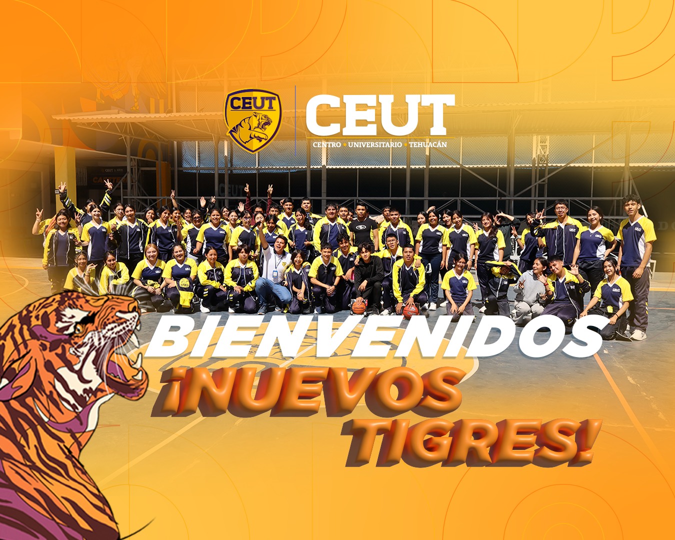 Nuevos Tigres Prepa